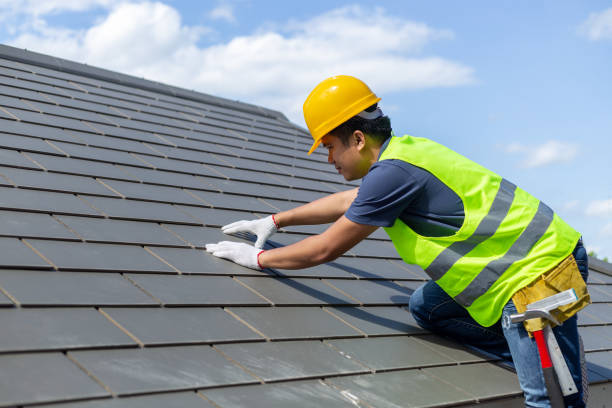 Best Roof Gutter Cleaning  in West Falls Church, VA